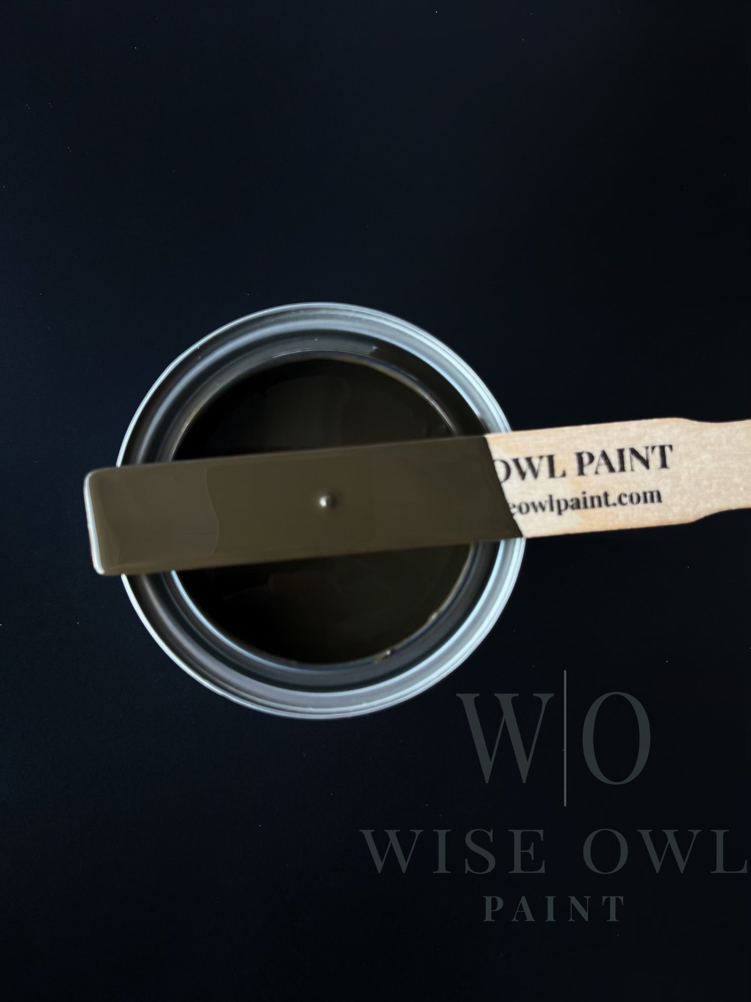 Bad Ace Soap - Wise Owl Paint