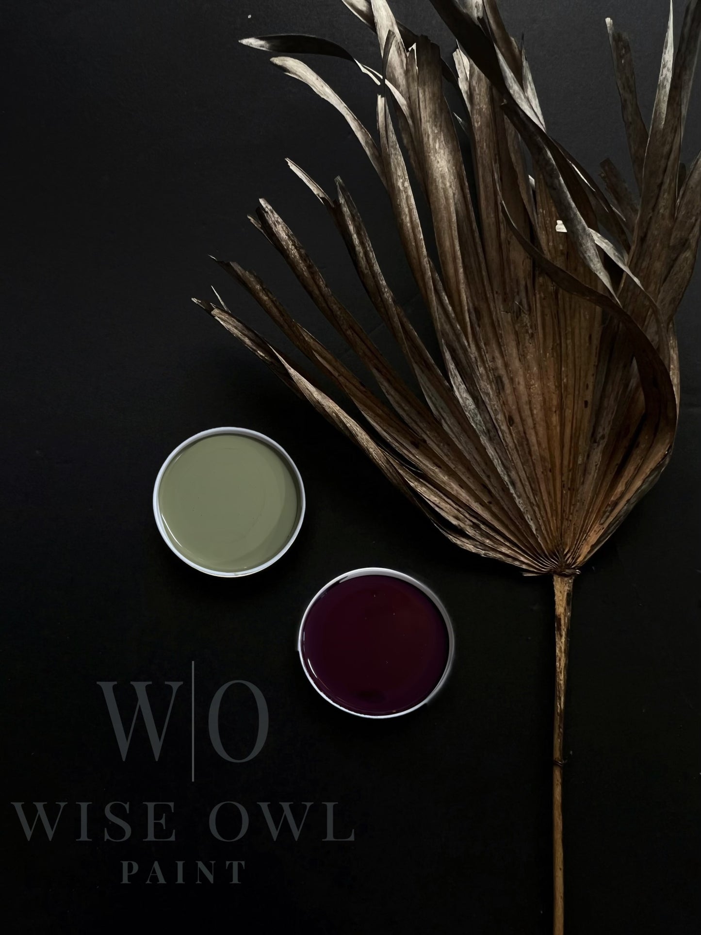overland green and dark mahogany paint swatch from wise owl paint one hour enamel wilderness collection. dried palm leaf next to them. dark gray background