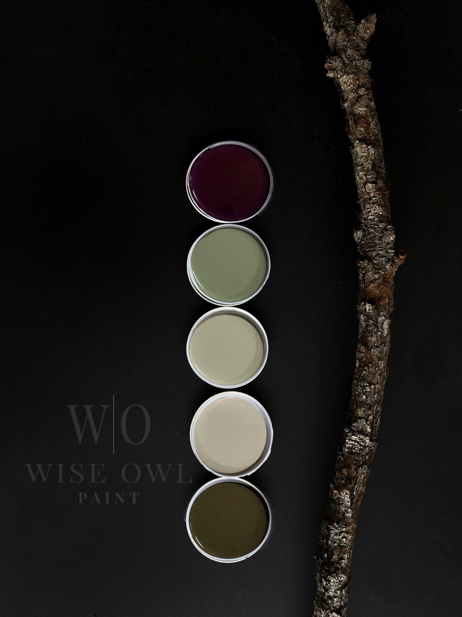 wise owl paint one hour enamel wilderness collection paint samples on a dark gray background. large wood stick laying next to them