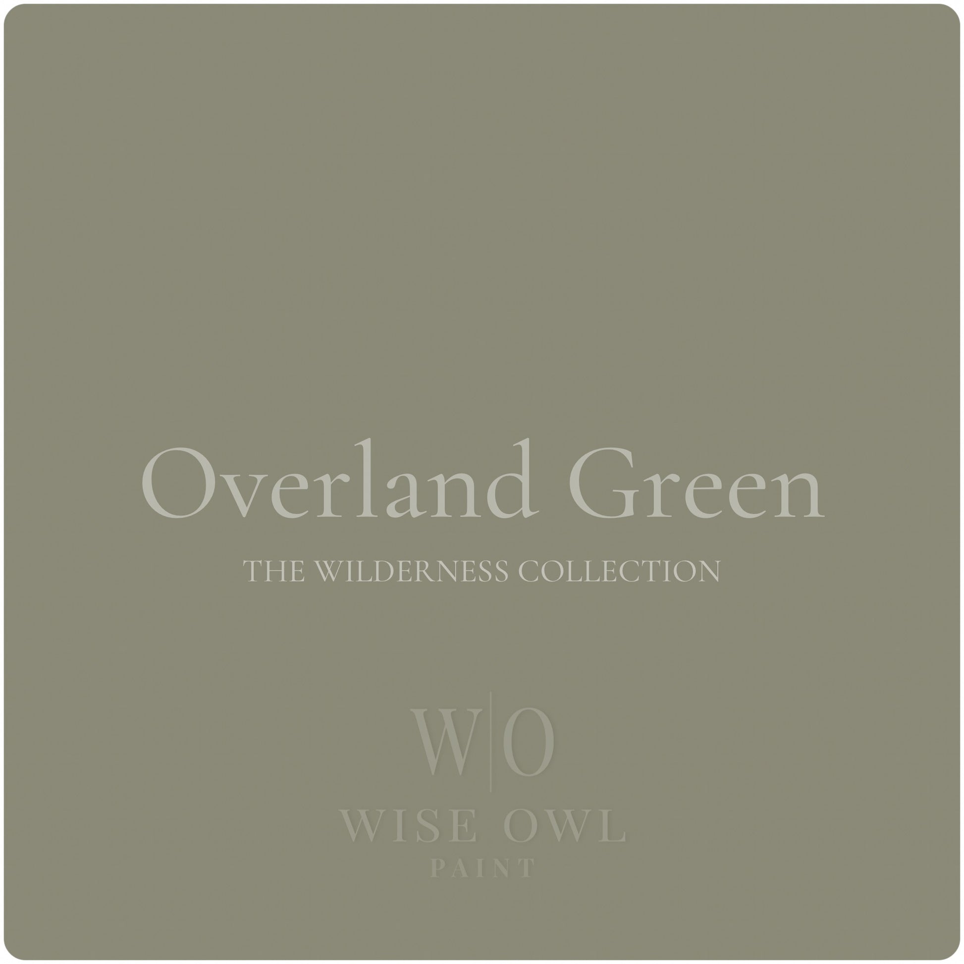 overland green paint swatch from wise owl paint one hour enamel wilderness collection