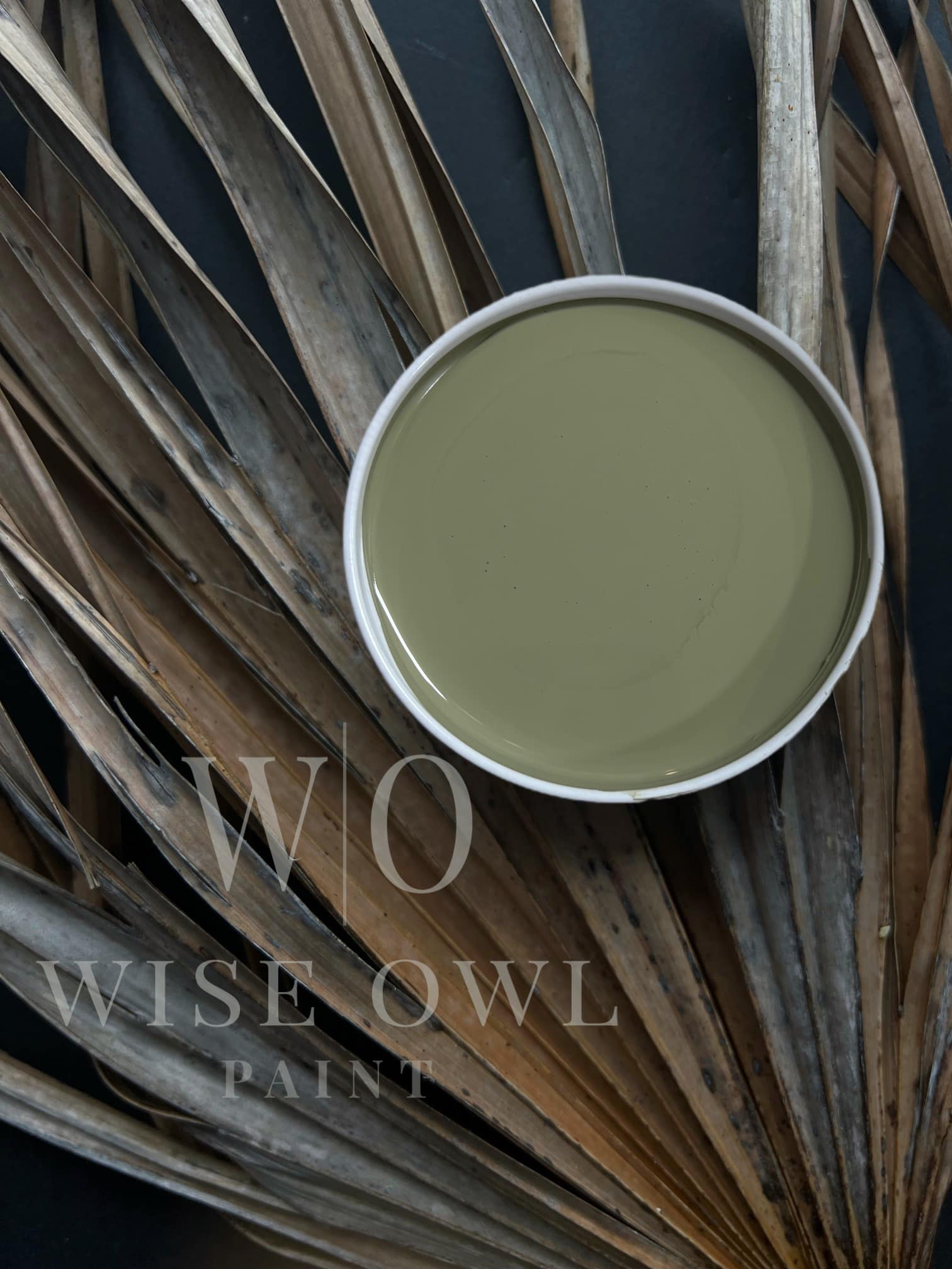 overland green paint swatch from wise owl paint one hour enamel wilderness collection. dried palm leaf background