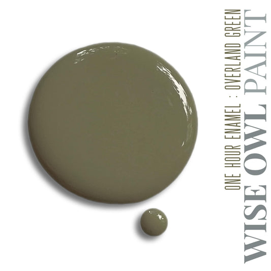 overland green paint swatch from wise owl paint one hour enamel wilderness collection